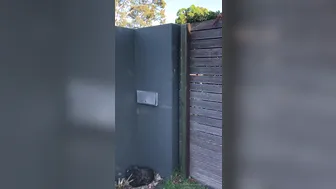 downundercple Another day a little bit closer to self immunisation xxx