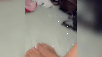 latinaaa2020 19.08.2020  8 Welcome to my profile