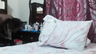 icequeenebony  Awesome chaturbate show