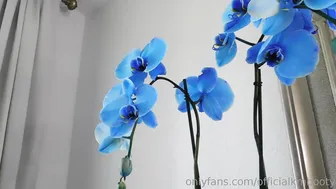 officialkmbooty 22.05.2019