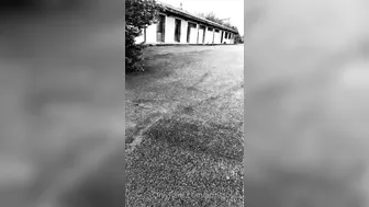 imevesweet 04.05.2020 Ayer hice esto en el paseito