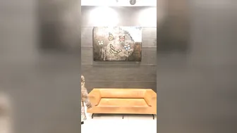 thereallisaan 5-06-2018-2.56.8515-Day 2 Sexpo Sydney