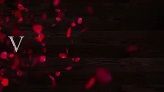 victoriaveritas victoria veritas black gloves and a bush