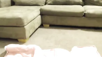 Taylor Made Short haired