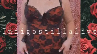 indigostillalive 18 02 2021 14 09 2020 895428108