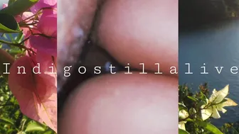 indigostillalive 18 02 2021 17 09 2020 914357514