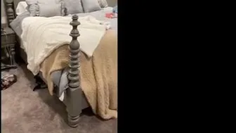 misshannahnicoleee 20 12.2020  3