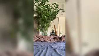 krissylynn 26 08.2020  4 Hey loves So happy to see so many new subscribers It m