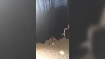 joannaangel 09 04 2017 244108 I'm LIVE on Fanscope Good morning