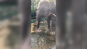 cjmiles onlyfans_20-06-2019-7799996