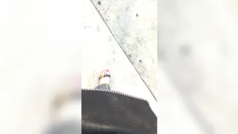 Princess Violette 21 04 2018