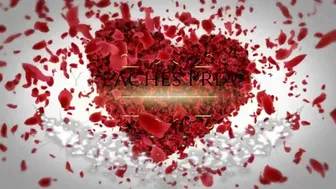 paypeaches-yellow-lace-and-pits-2018-06-14_tRBSt2