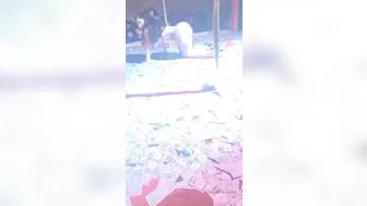 Vikkiii onlyfans 12 10 2019 70649777