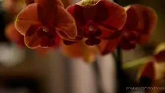 RocknRose onlyfans 20 06 13 27927254 I have a vault of videos I have never released...just didn t find the right .. 1920x1080