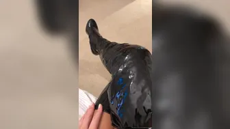 BlondieRose onlyfans 97