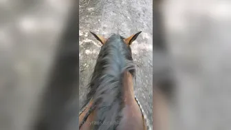 Blanche Bradburry onlyfans 20 08 18 41202253 Somethink from my life my horse and nature 1080x1920