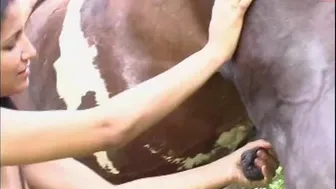 horse_love 8.06.2020 822_female chaturbate