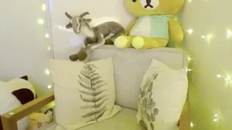 sluttypotato_ 4.01.2019 100 chaturbate