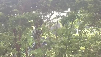 missytrig 3.06.2019 350_female chaturbate