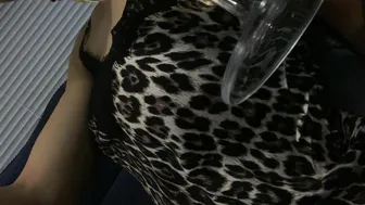 iammery (Horiz.) (70)