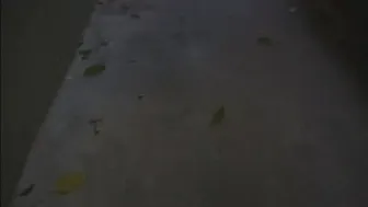 Cherokee D Ass onlyfans All Dat Azz 32