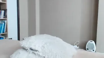 perfectbella  Makes Her Pussy Cum in chat