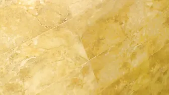 pricessdeea  webcam hooker and her sex fucking show