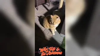 Kayleigh Coxx aka kayleighcoxx84 onlyfans (12.12.2018) Kayleigh Coxx (Vert.)