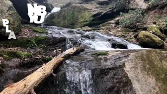 Delilah Cass_049 - Risky Carrot Fuck Outside Anal Plug