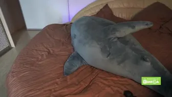 pussy_m0ney_weed (Porn, Anal, webcam, Creampie, Big Tits, Blowjob, All Sex, Teens) (480p) (via Skyload)_4