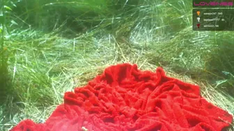 sexyfoxyred 0.06.2021 531_female chaturbate 2021