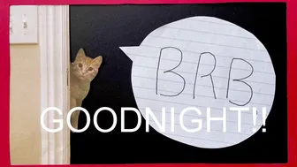 internet_famous 4.05.2021 927_female chaturbate