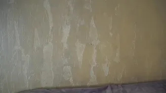 taylor_swift webcamshow chaturbate cam4 bongocams camsoda stripchat_5