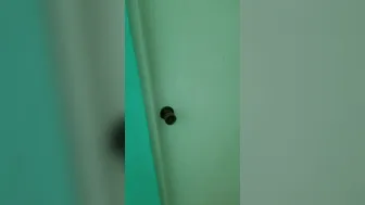 madisonmorgan onlyfans_2019 12 13 104085899