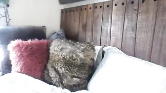 kristennn  noisy masturbation show