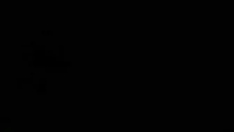 sophiastarr  Plays with their holes