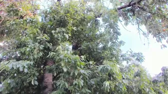 patry333-cbf-202106071515_7