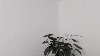 electro_geisha  Giant labia