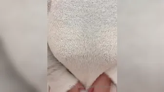 nina_nishimura_0gmwzlbunrgm7qyt9wg8o