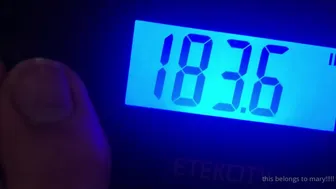 chubbychiquita.10.02.2021.2029151842.2019_stuffing_collection__from_first_to_last__stoned_burger_stuffing_nov_2019_baconator