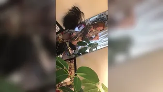 Maud Suicide_2017.07.07 15.16.11