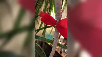 Maud Suicide_2017.08.22 09.59.36