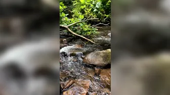 fulltimecrybaby onlyfans juicy mamashie masturbating vagina