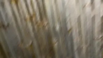 Ava aka avafae gorgeous lady in a long dress