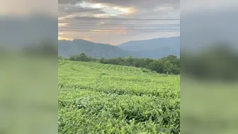 Ekaterina Enokaeva,  shows her pussy on the chair