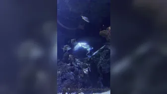 verasmirnovavip onlyfans Adorable chick masturbates juicy pussy