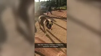 Anna Bell Peaks (AnnaBellPeaks) onlyfans The girl in stockings mandrazz hand