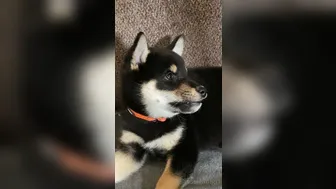 Jessica Nigri  onlyfans swallows a toy