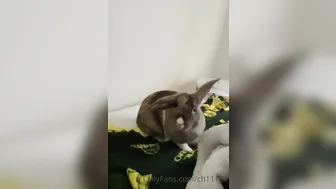 Chloe Spencer aka Ch111oe  onlyfans 19/12/2021 webcam video from Onlyfans