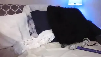 aussietreasure  sweet webcam doll